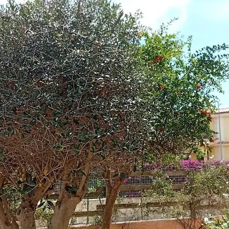 Autunno In Sardegna Olia Speciosa A 5 Min Dal Mare Di Costa Rei